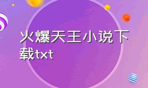 火爆天王小说下载txt（火爆天王txt全集下载百度云）