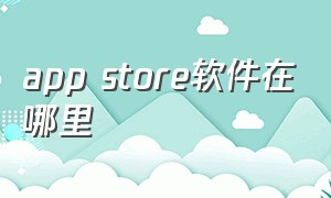 app store软件在哪里（app store软件分类在哪）