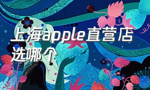 上海apple直营店选哪个（北京apple官方直营店哪个比较好）