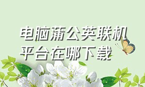 电脑蒲公英联机平台在哪下载