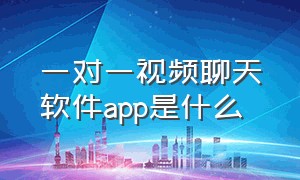 一对一视频聊天软件app是什么（一对一视频聊天软件app收费）