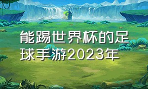 能踢世界杯的足球手游2023年