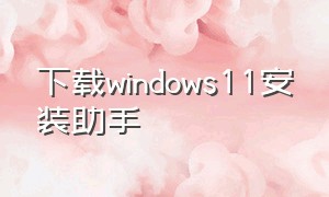 下载windows11安装助手（windows11安装助手不能下载）