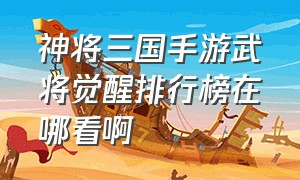 神将三国手游武将觉醒排行榜在哪看啊（神将三国手游官网开服时间）