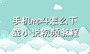 手机mp4怎么下载小说视频教程（手机mp4怎么下小说到电子书）