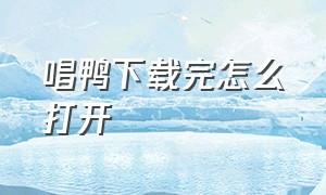 唱鸭下载完怎么打开