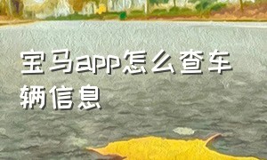 宝马app怎么查车辆信息（宝马app查看车辆状态显示哪些内容）