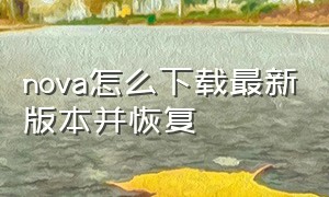 nova怎么下载最新版本并恢复