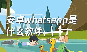 安卓whatsapp是什么软件（安卓whatsapp下载安装）