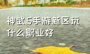 神武5手游新区玩什么职业好（神武5手游新区玩什么职业好打）