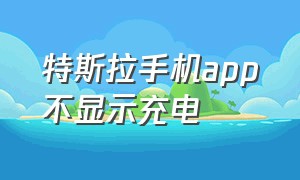 特斯拉手机app不显示充电（特斯拉y手机充电口在哪）