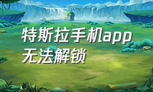 特斯拉手机app无法解锁（特斯拉手机app地点怎么能不显示）