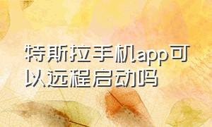 特斯拉手机app可以远程启动吗