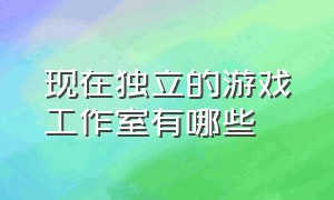 现在独立的游戏工作室有哪些（目前国内的游戏工作室有几家）