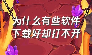 为什么有些软件下载好却打不开（为什么下载了软件却打不开）