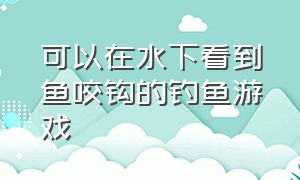 可以在水下看到鱼咬钩的钓鱼游戏（能看见水下的鱼的钓鱼机器）