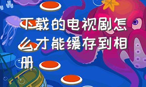 下载的电视剧怎么才能缓存到相册（下载电视剧后怎么保存到相册）