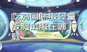 吃鸡国际服轻量版测试服在哪下载