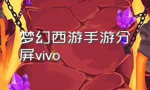 梦幻西游手游分屏vivo（梦幻西游手游手机分屏教程）