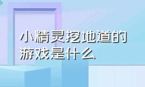 小精灵挖地道的游戏是什么（小精灵挖地道的游戏是什么名字）