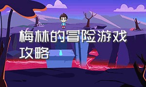 梅林的冒险游戏攻略（阿尔托的冒险完整版游戏攻略）