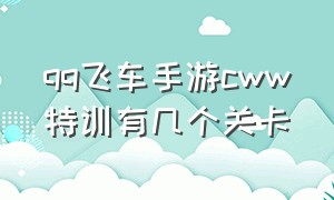 qq飞车手游cww特训有几个关卡