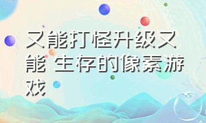 又能打怪升级又能 生存的像素游戏（又能打怪升级又能 生存的像素游戏手游）