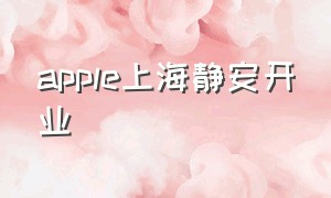 apple上海静安开业
