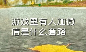 游戏里有人加微信是什么套路（游戏里加微信好友什么套路）