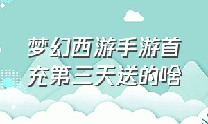 梦幻西游手游首充第三天送的啥（梦幻西游手游首充6元和30元区别）