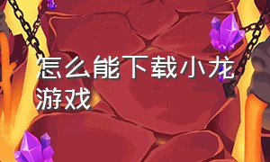 怎么能下载小龙游戏（小龙游戏完整版）