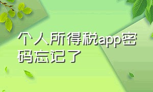 个人所得税app密码忘记了（个人所得税APP密码忘记了怎么办）