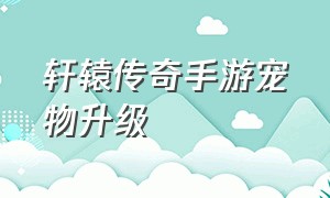 轩辕传奇手游宠物升级（轩辕传奇手游宠物升级攻略）