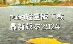 pubg轻量版下载最新版本2024（pubg轻量版2024最新版v0.27.0）