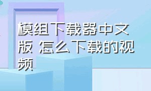 模组下载器中文版 怎么下载的视频