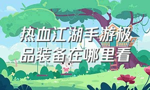 热血江湖手游极品装备在哪里看（热血江湖手游sf满v无限元宝）