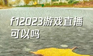 f12023游戏直播可以吗（f12024游戏有线上模式吗）