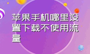 苹果手机哪里设置下载不使用流量（苹果手机哪里切换主副号）