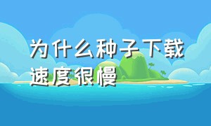 为什么种子下载速度很慢（手机bt种子怎么下比较快）