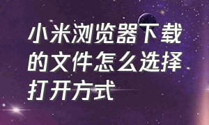 小米浏览器下载的文件怎么选择打开方式（小米浏览器下载文件打开方式更改）