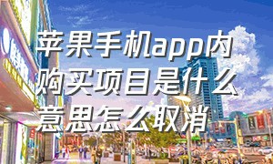 苹果手机app内购买项目是什么意思怎么取消（苹果手机下载显示app内购买啥意思）