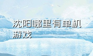 沈阳哪里有单机游戏