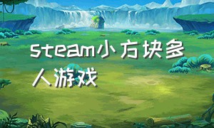 steam小方块多人游戏