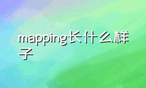 mapping长什么样子（mappings）