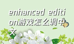 enhanced edition游戏怎么调中文（seven enhanced edition游戏教程）