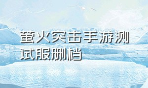 萤火突击手游测试服删档