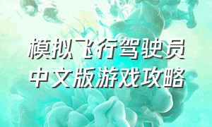 模拟飞行驾驶员中文版游戏攻略（模拟飞行驾驶员中文版游戏攻略视频）