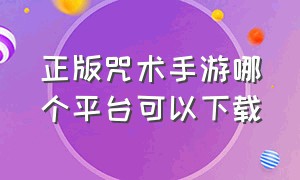 正版咒术手游哪个平台可以下载（正版咒术手游哪个平台可以下载）