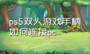 ps5双人游戏手柄如何连接pc（ps5双人游戏手柄怎么设置）