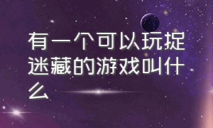 有一个可以玩捉迷藏的游戏叫什么